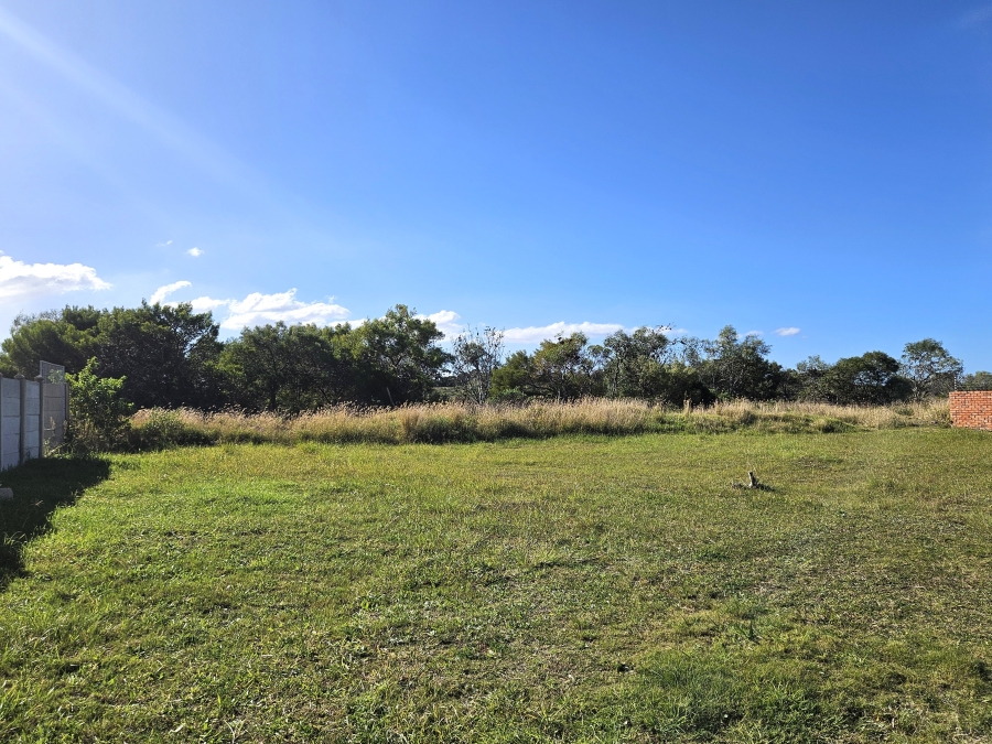 Commercial Property for Sale in C Place Eastern Cape